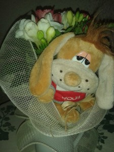 10304774_1492511304298399_855339564264296696_n